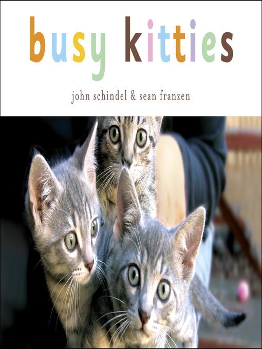 Title details for Busy Kitties by John Schindel - Available